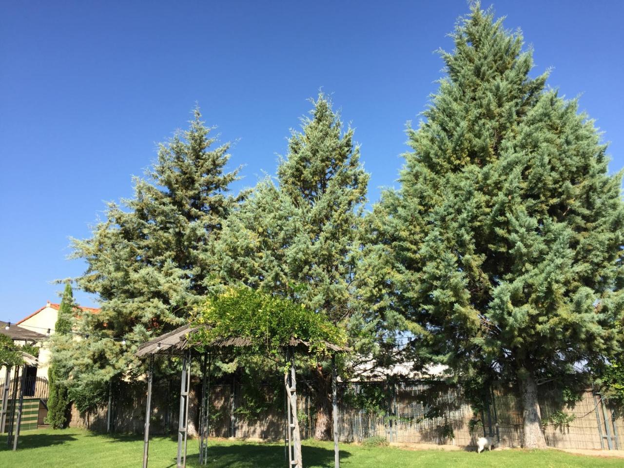 Apartamentos Atalayas Extremadura サフラ エクステリア 写真